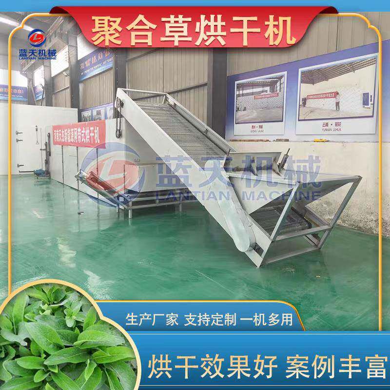 聚合草烘干机网带式黑燕麦草青贮干燥机苜蓿草牧草青贮料风干机