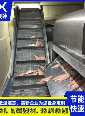 双螺旋速冻机占地面积小速冻量大氟利昂速冻成本
