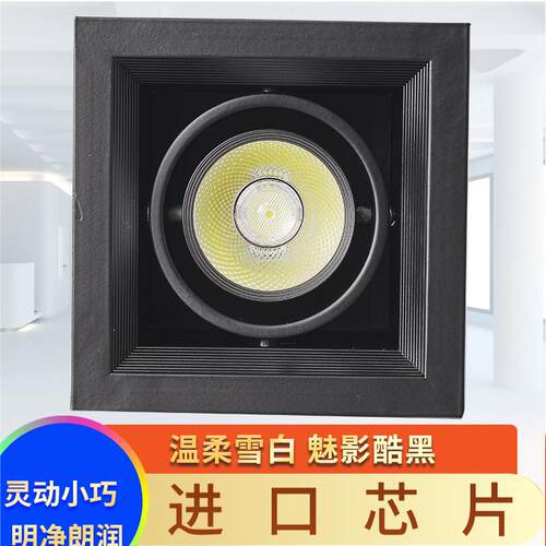 led斗胆灯双头单头三头双眼射灯筒灯黑色方形格栅嵌入式豆胆商用