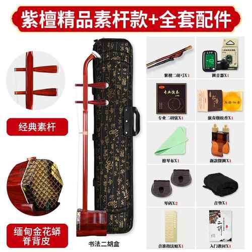 正品正人音堂精品紫檀二胡乐中专老年成儿童考级业演奏胡器琴厂家