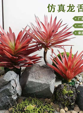 仿真仿真植植物摆件剑兰盆栽龙舌兰橱窗造景绿沙漠装饰假红叶热带