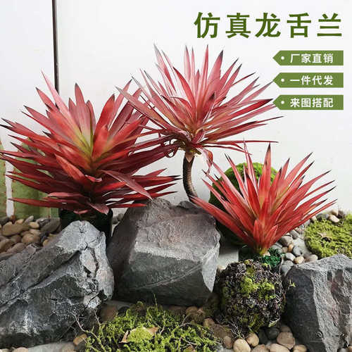 仿真仿真植植物摆件剑兰盆栽龙舌兰橱窗造景绿沙漠装饰假红叶热带