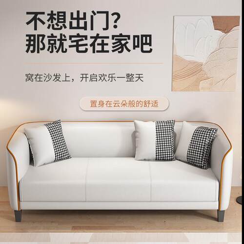 双人沙发客厅简约高级感家用小户型卧室出租房公寓双人三人小沙发