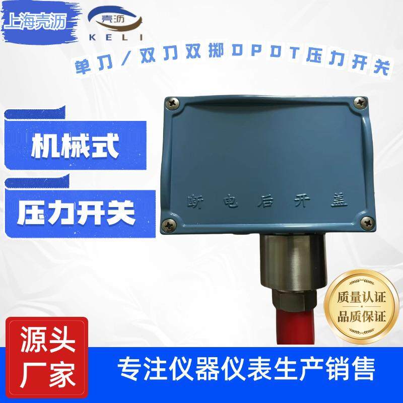 PTD系列单刀/双刀双掷SP/DPDT机械式工业压力开关控制器微压差压