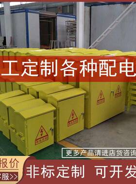 加工定制非标配电箱 21柜配电柜 临时用电进出线柜基业箱源头厂家