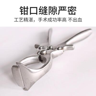 不工锈钢猪用不锈钳钢无血阉去势钳割骟YLF猪具小动物去势夹蛋钳