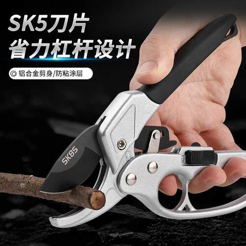 不锈钢修枝修枝果树园林剪刀剪刀