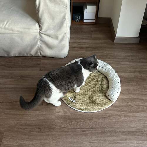 春夏猫狗垫子藤编凉席可拆洗猫窝宠物沙发四季通用中小型降温狗窝