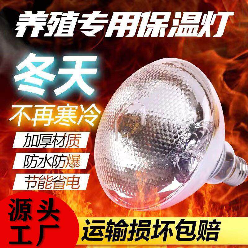 保温养殖专用取暖灯猪仔猪小鸡加热畜牧猪用育雏灯泡烤灯保暖兽用