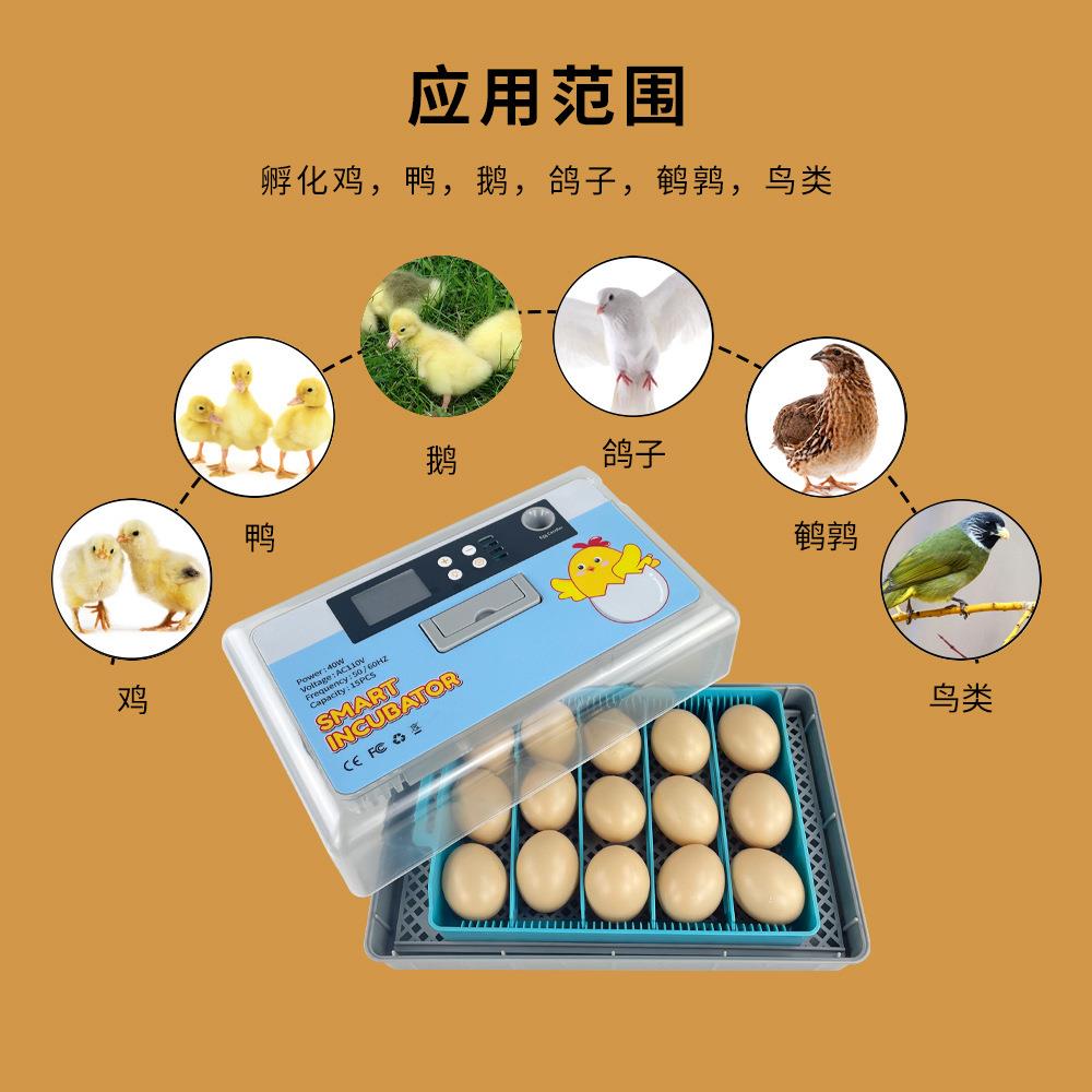 孵化器小型家用型全自动智能液晶屏孵化机孵蛋器孵化箱带一键照蛋
