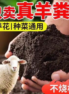纯羊粪发酵有机肥腐熟粪肥种花果肥养花卉专用通用肥料内蒙古土壤