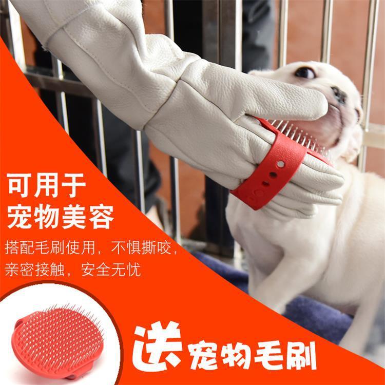 头层防抓防咬牛皮手套训练大小型犬猫防护手套宠物洗澡防水手套