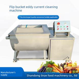 全自动超声波洗菜机肉类去血水设备青豆清洗机小型翻斗涡流洗菜机