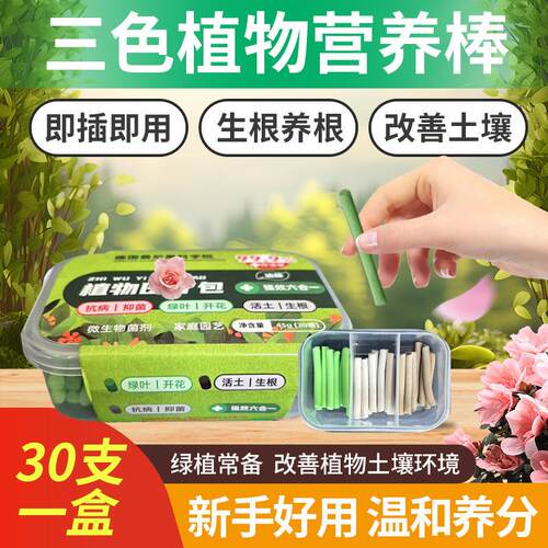Plant Slow-Release Nutrient Stick - Pot and Flower Super Six