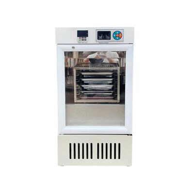 XZD-08血小板振荡器 室温血小板袋摇床 血小板袋卧式振荡器实验室