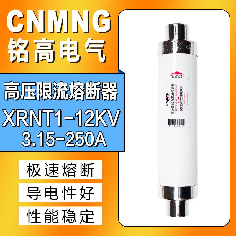 XRNT10-12KV高压熔断器变压器保险管丝10A20A40A50A63A80A100A