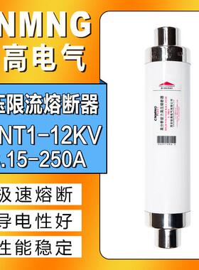 XRNT10-12KV高压熔断器变压器保险管丝10A20A40A50A63A80A100A