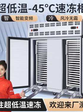 德菱仕速冻柜商用速冻冷柜零下45度急冻柜插盘包子饺子海参速冻机