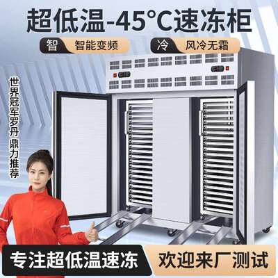 德菱仕速冻柜商用速冻冷柜零下45度急冻柜插盘包子饺子海参速冻机