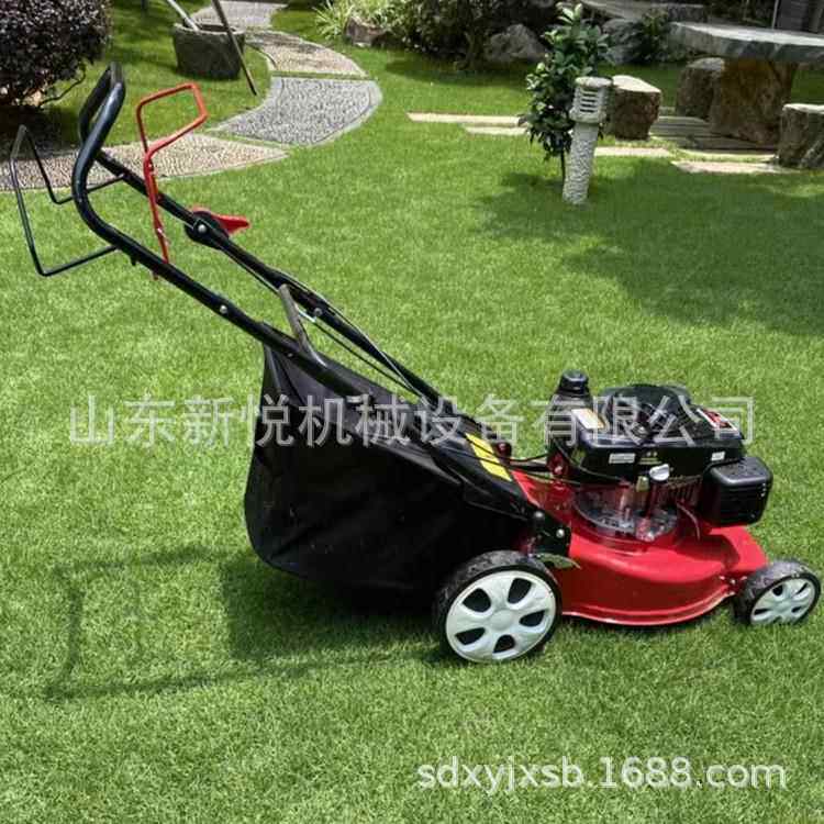 2020草坪用修剪打草机手果扶自走式汽油推割草机手式园农场除草机