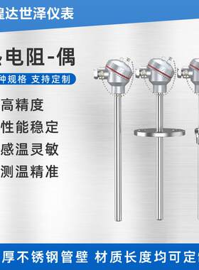 铂热电阻传感器探头铠装温度传感器PT100PT1000温度计K型热电偶
