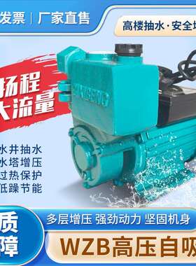家用小型WZB自吸泵5RGJ0W自来水增压泵720V高2程扬太阳能水井抽水