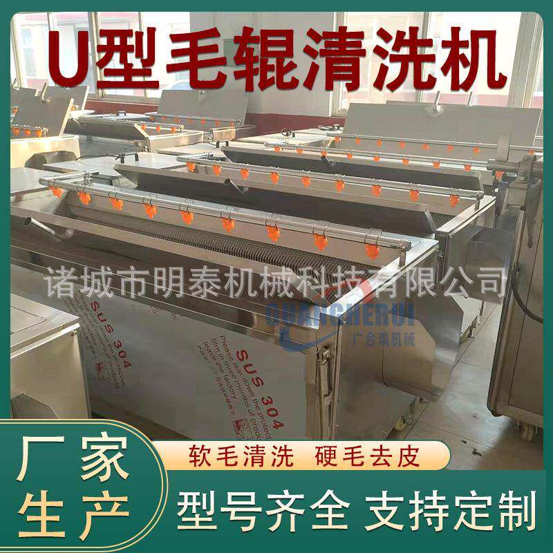 白萝卜U型毛辊清洗机土豆红薯毛刷磨皮机猪蹄羊蹄烧毛去杂设备