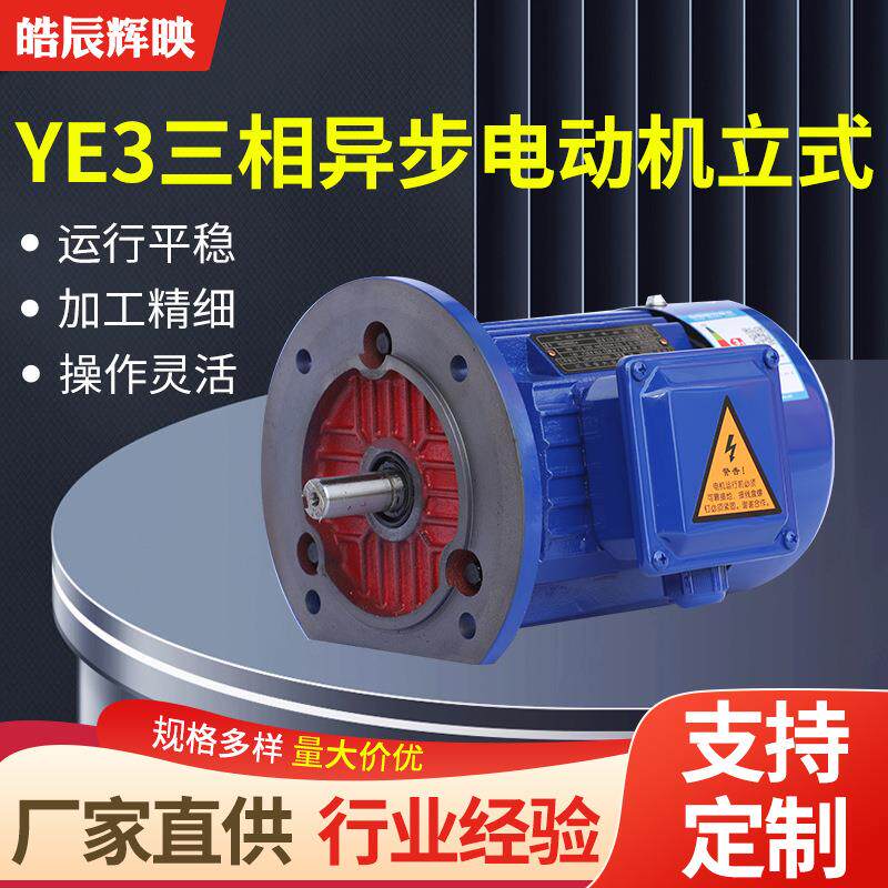 YE3三相异步电动机全铜立式电机运行平稳噪音低全铜三相异步电机