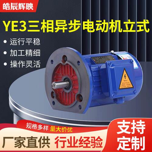 YE3三相异步电动机全铜立式电机运行平稳噪音低全铜三相异步电机
