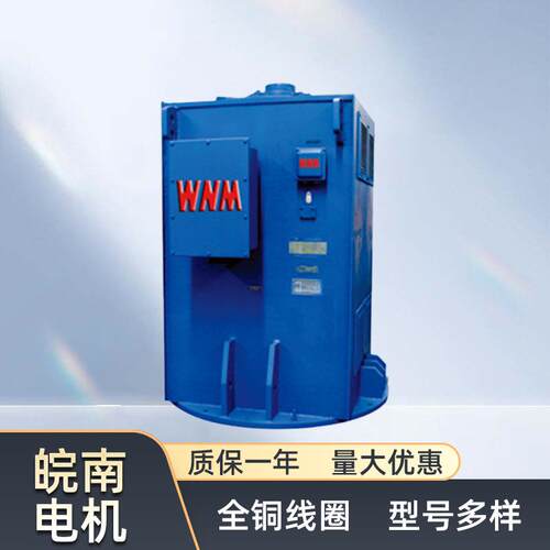 皖南电机YL系列立式高压三相交流异步电动机37kw55kw厂家直供