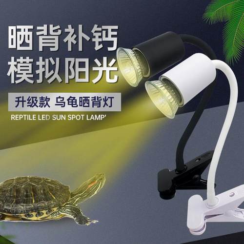 宠物乌龟补钙灯 爬宠晒背灯保暖灯 定时调光灯加热灯展览书台夹灯