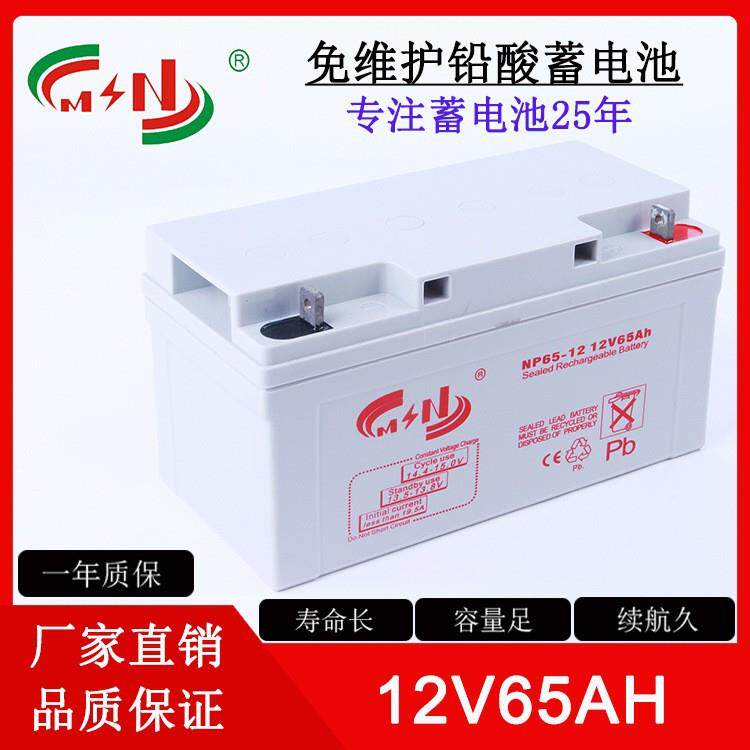 12V65Ah铅酸蓄电池备用电源太阳能储能AGM蓄电池免维护铅酸蓄电池
