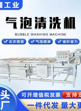 自动化鲜花生浸泡清洗机东北酸菜脱盐机连续式沙棘果清洗设备