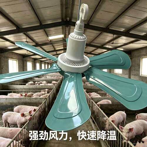 养鸡场养760猪场叶养殖场六小吊饭扇家宿舍厅电风扇吊扇纯铜芯用