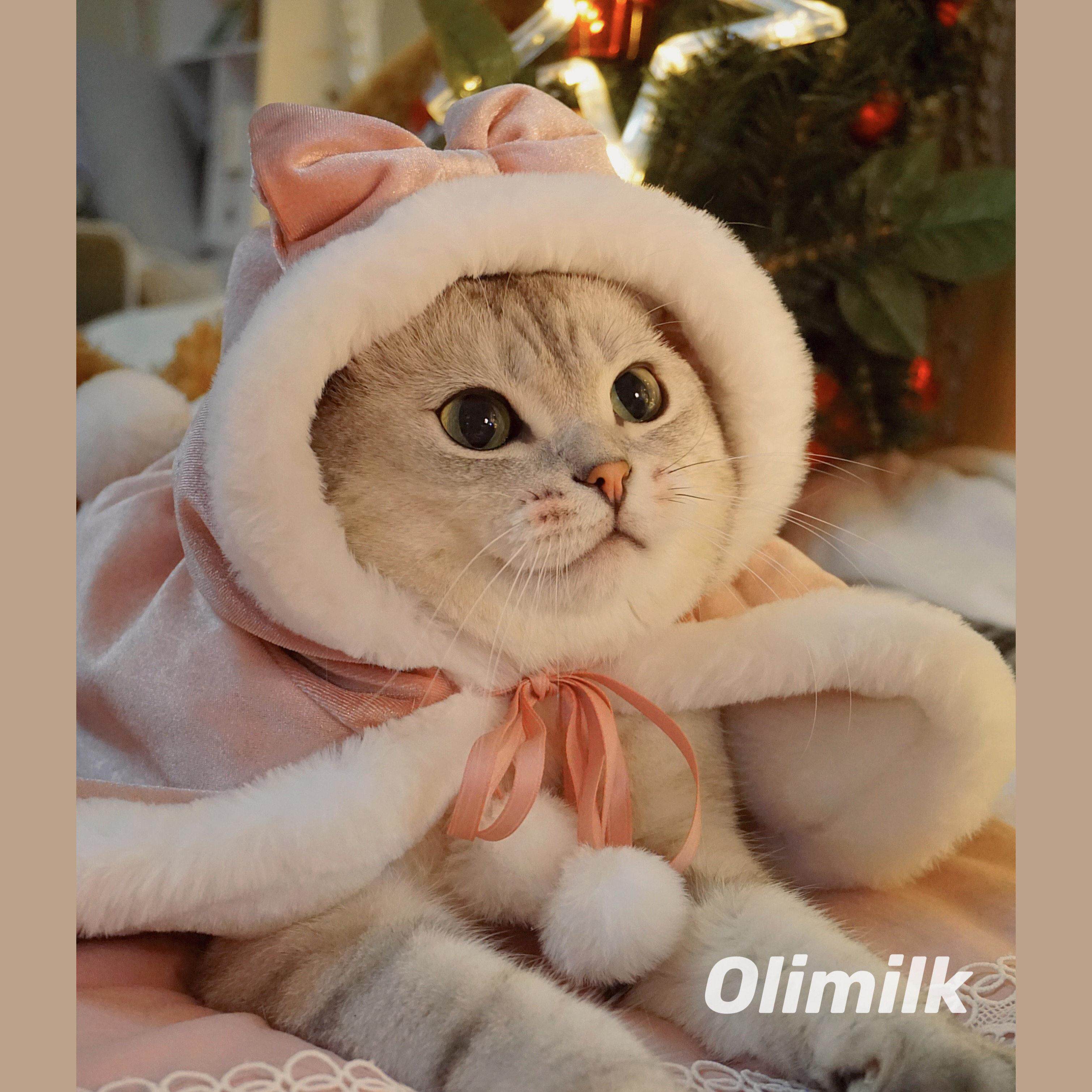 【Olimilk】洛丽塔小公主~原创宠物斗篷披风猫狗秋冬衣服圣诞新年