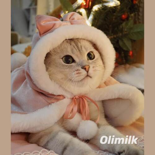 【Olimilk】洛丽塔小公主~原创宠物斗篷披风猫狗秋冬衣服圣诞新年