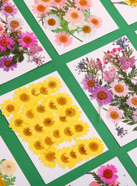diy造纸术古法干花材料餐桌花艺