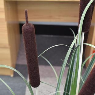 仿真芦苇草人造植物香蒲饰水蜡烛葱草盆栽棒IZU假花洋客厅装绿植