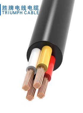 供应VDE橡胶线H05RN-FH05RR-FH07RN-F2芯/3芯/4芯