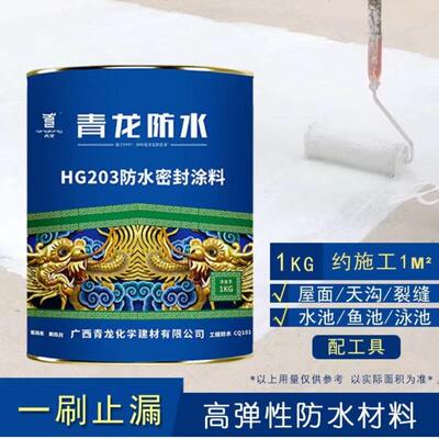青龙CQ101HG203防水密封涂料专用水泥屋面水池聚氨酯环保防水材料