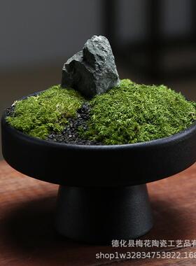 仿生植造景苔202060藓微景观蕨盆类植物栽盆绿景装饰室客厅新中式