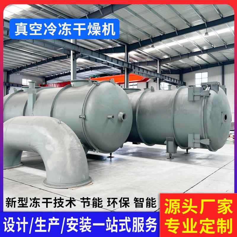 西瓜草莓丁低温冻干机 面条海鲜粥真空冷冻干燥机 荔枝橙子冻干机