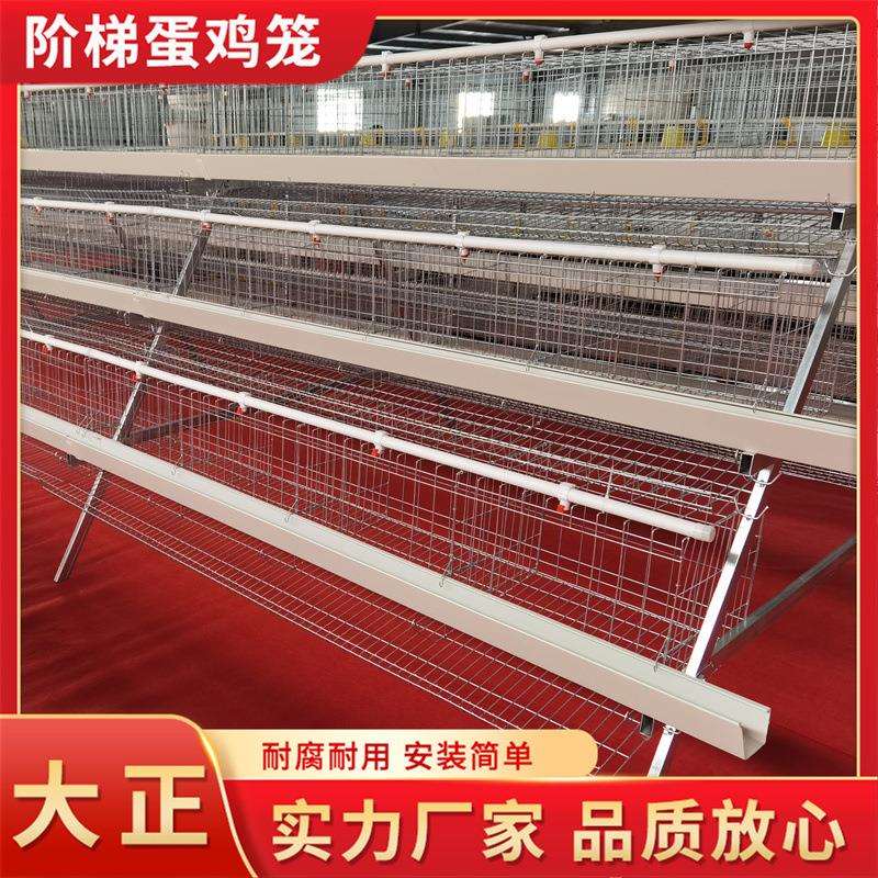 阶梯蛋鸡笼蛋鸡养殖笼 三层四门阶梯式蛋鸡笼自动化养鸡设备