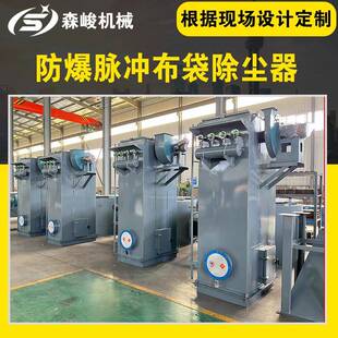 电厂布袋除尘器粉尘收集器冶炼厂除尘设备工业防爆脉冲袋式高效率