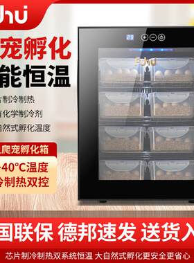 梵帝欧爬宠恒温孵化箱小型家用孵化机110V全自动智能乌龟蛋孵化器