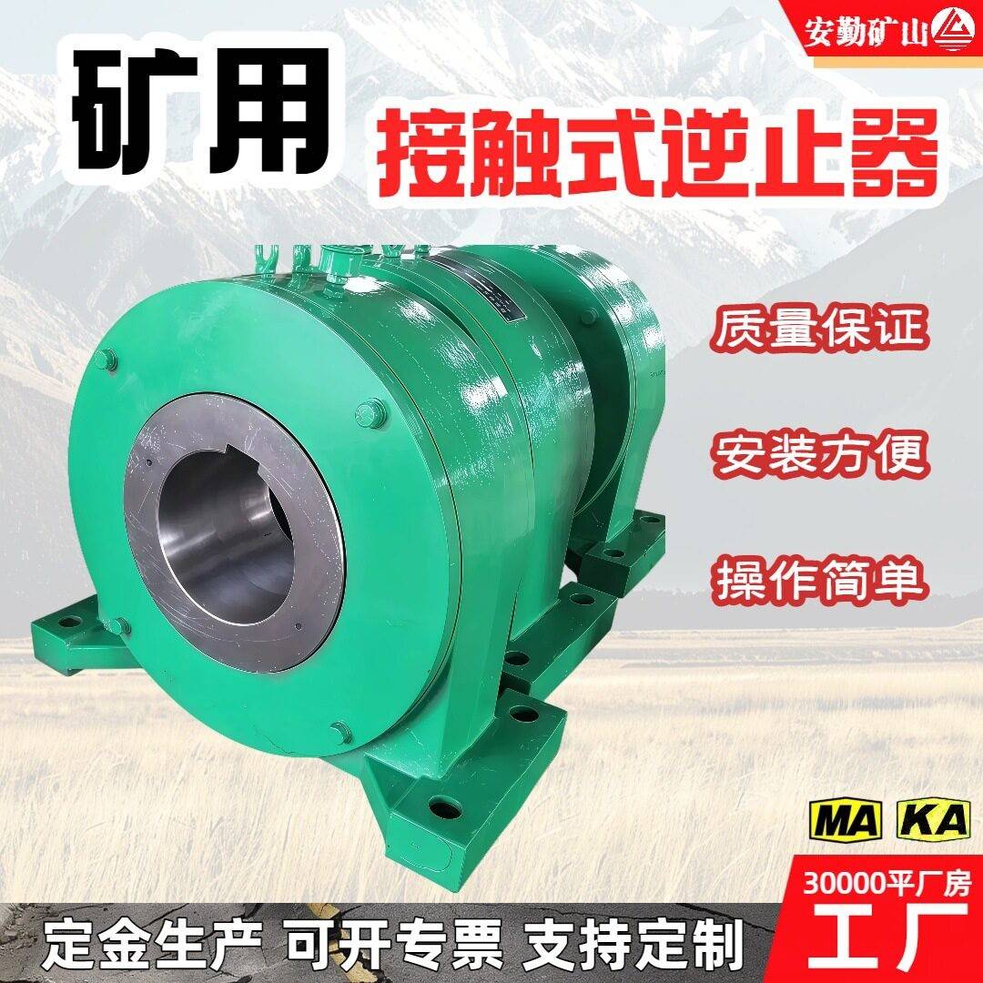 NJZ0接触式逆止器矿山斗式提升机低速防逆转装置逆止力矩大图片