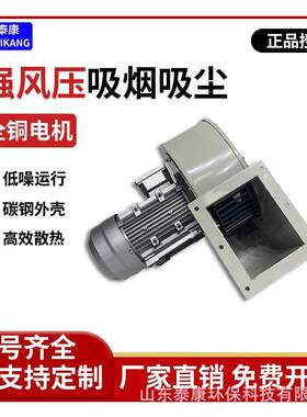 济南泰通直销DF多翼式离心风机耐高温除尘排烟工业强力冷却鼓风机
