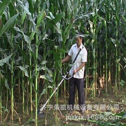 割草机四冲程背负式价格汽油锄地除草开沟机大马力汽油轻便割草机