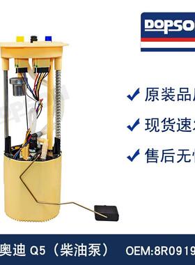 8R0919050D8R0919050EQ5（柴油泵）总成