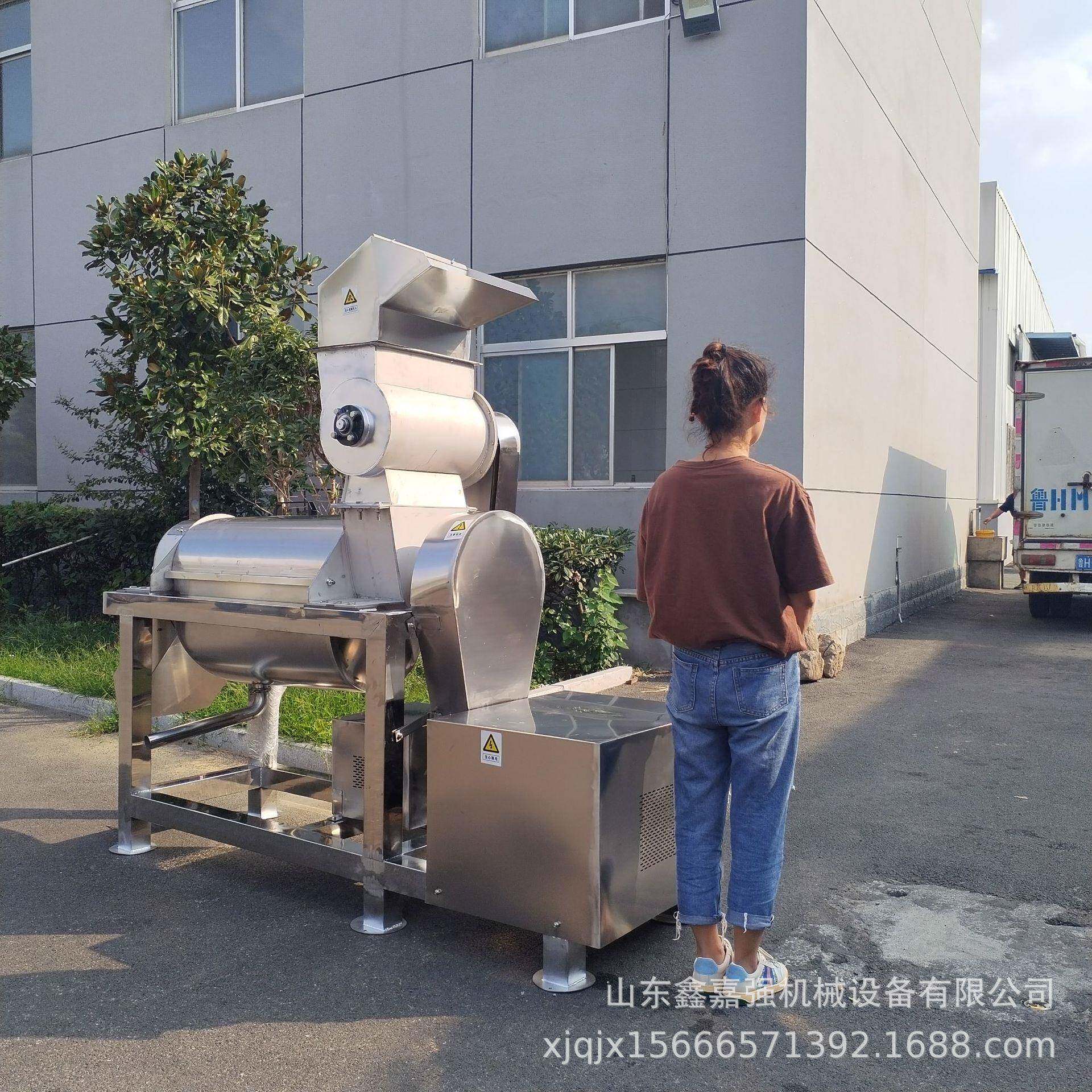 商用蓝莓果汁机胡萝卜番茄金桔大型螺旋榨汁机果蔬原汁加工设备